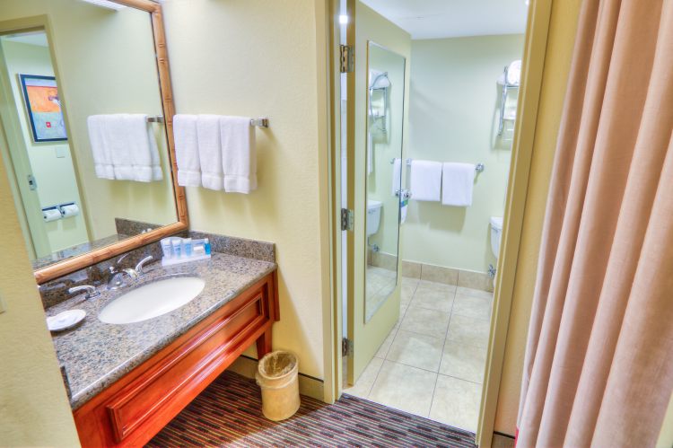 Holiday Inn Tampa Westshore - Airport Area, an IHG Hotel , FL 33609 near Tampa International Airport View Point 7