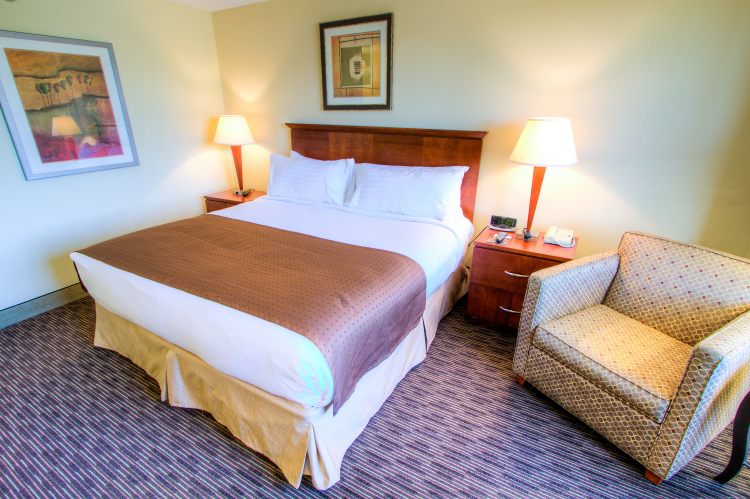 Holiday Inn Tampa Westshore - Airport Area, an IHG Hotel , FL 33609 near Tampa International Airport View Point 28