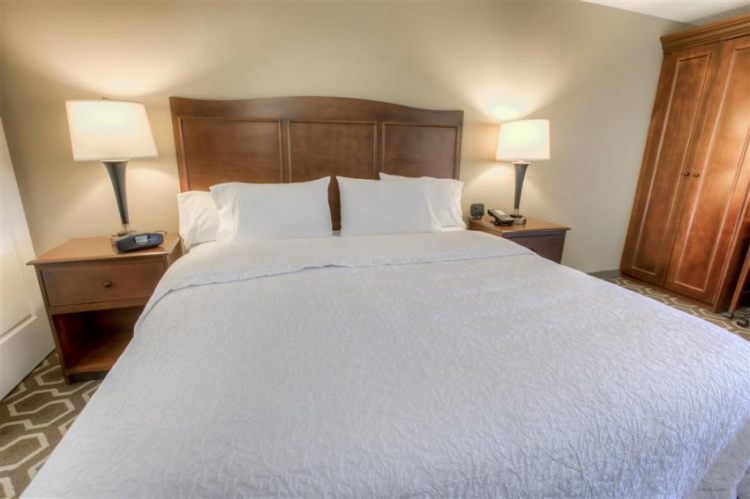 Hampton Inn Tampa International Airport/Westshore , FL 33607 near Tampa International Airport View Point 39