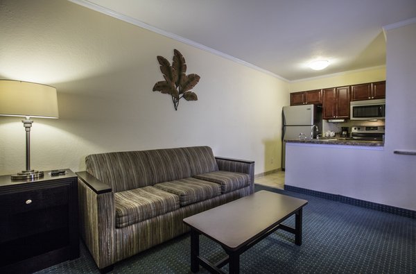 Sailport Waterfront Suites , FL 33607 near Tampa International Airport View Point 3