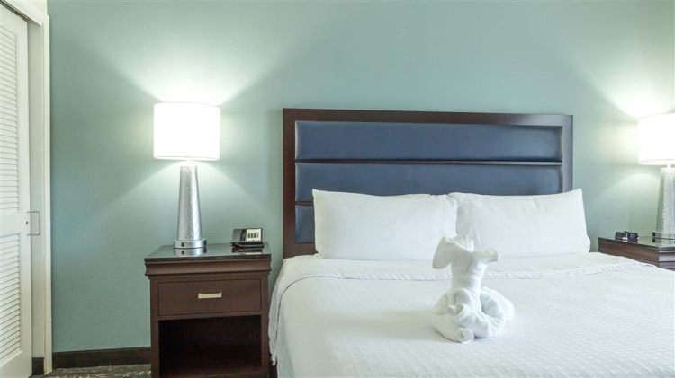 Homewood Suites by Hilton Miami - Airport West , FL 33122 near Miami International Airport View Point 19