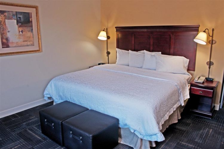 Hampton Inn & Suites Norfolk-Airport , VA 23502 near Norfolk International Airport View Point 15