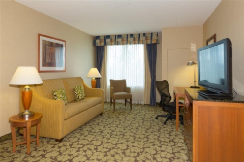 Hilton Garden Inn Buffalo Airport , NY 14225 near Buffalo Niagara International Airport View Point 22