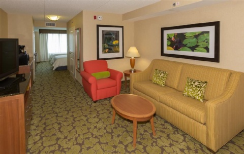 Hilton Garden Inn Buffalo Airport , NY 14225 near Buffalo Niagara International Airport View Point 27