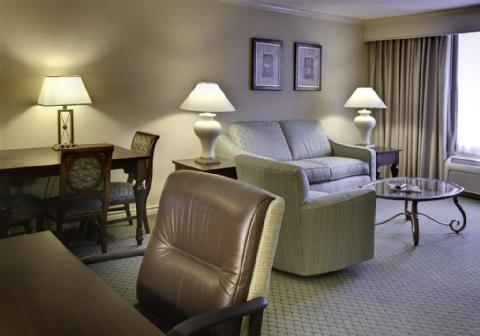 Hampton Inn Buffalo-Williamsville , NY 14221 near Buffalo Niagara International Airport View Point 11