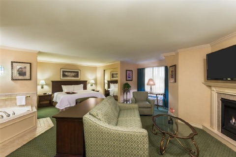 Hampton Inn Buffalo-Williamsville , NY 14221 near Buffalo Niagara International Airport View Point 13