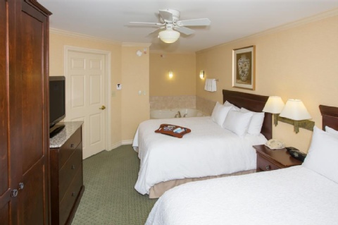 Hampton Inn Buffalo-Williamsville , NY 14221 near Buffalo Niagara International Airport View Point 14