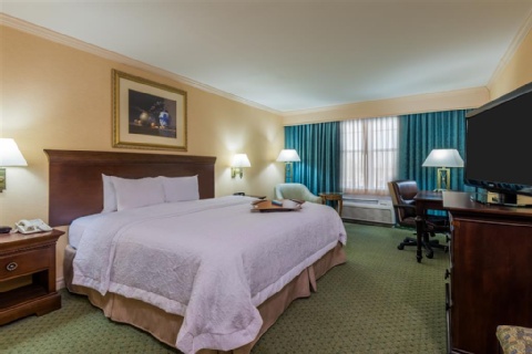 Hampton Inn Buffalo-Williamsville , NY 14221 near Buffalo Niagara International Airport View Point 16