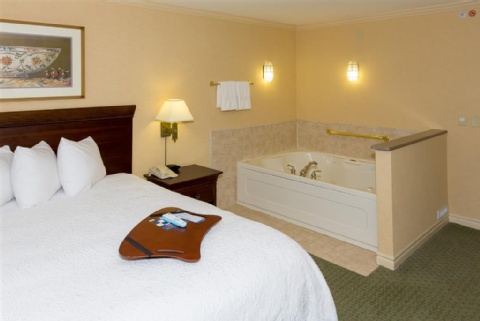 Hampton Inn Buffalo-Williamsville , NY 14221 near Buffalo Niagara International Airport View Point 18