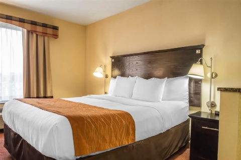 Comfort Inn & Suites LaGuardia Airport , NY 11378 near Laguardia Airport View Point 15