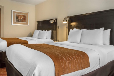 Comfort Inn & Suites LaGuardia Airport , NY 11378 near Laguardia Airport View Point 22