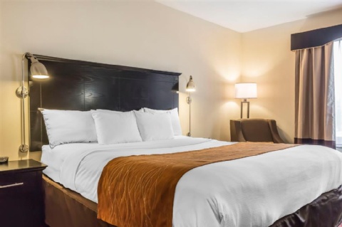 Comfort Inn & Suites LaGuardia Airport , NY 11378 near Laguardia Airport View Point 30