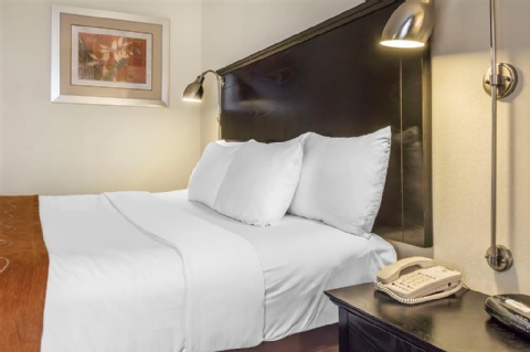 Comfort Inn & Suites LaGuardia Airport , NY 11378 near Laguardia Airport View Point 31