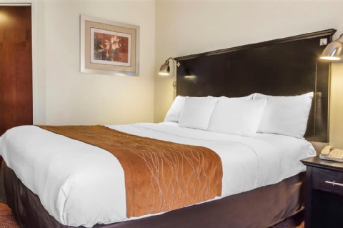 Comfort Inn & Suites LaGuardia Airport , NY 11378 near Laguardia Airport View Point 33