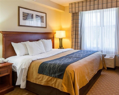 Comfort Inn & Suites Virginia Beach , VA 23455 near Norfolk International Airport View Point 25