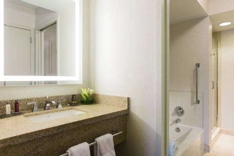 Chicago Marriott Suites O'Hare , IL 60018 near Ohare International Airport View Point 14