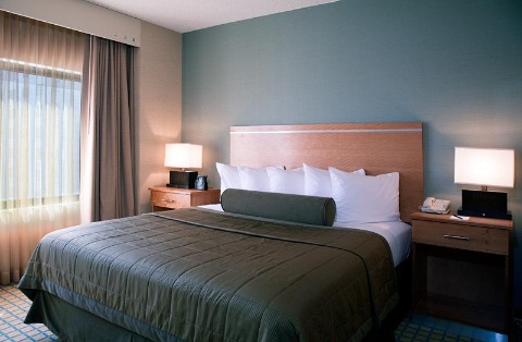 Embassy Suites by Hilton Chicago O'Hare Rosemont , IL 60018 near Ohare International Airport View Point 28