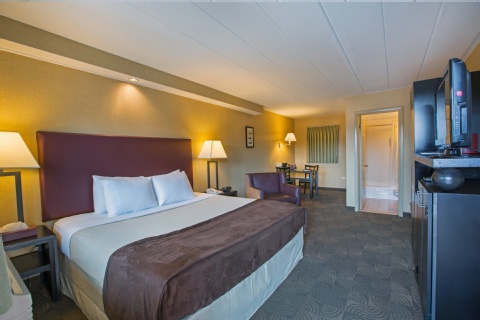 Carlton Inn Midway , IL 60632 near Midway International Airport View Point 4