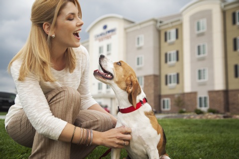 Candlewood Suites Fargo-N. Dakota State Univ. , ND 58102 near Hector International Airport View Point 15