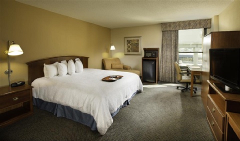 Hampton Inn Metairie , LA 70002 near Louis Armstrong New Orleans International Airport  View Point 10