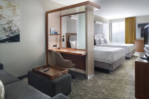 SpringHill Suites by Marriott Atlanta Airport Gateway , GA 30337 near Hartsfield-jackson Atlanta International Airport View Point 17