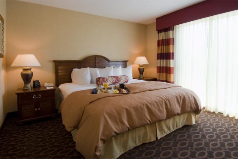 Embassy Suites by Hilton Atlanta Airport , GA 30337 near Hartsfield-jackson Atlanta International Airport View Point 22