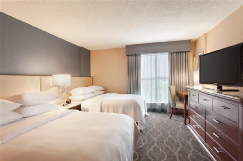 Embassy Suites by Hilton Atlanta Airport , GA 30337 near Hartsfield-jackson Atlanta International Airport View Point 25