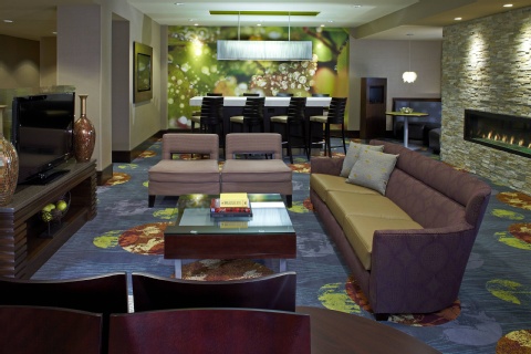 Courtyard by Marriott Buffalo Amherst , NY 14221 near Buffalo Niagara International Airport View Point 9