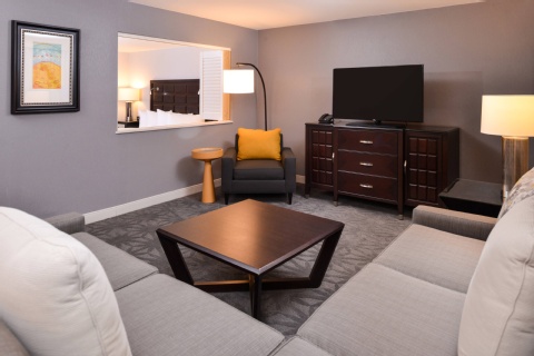 Buffalo Marriott Niagara , NY 14221 near Buffalo Niagara International Airport View Point 8