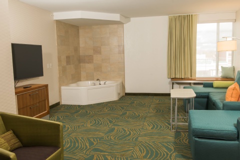 SpringHill Suites by Marriott Buffalo Airport , NY 14221 near Buffalo Niagara International Airport View Point 17