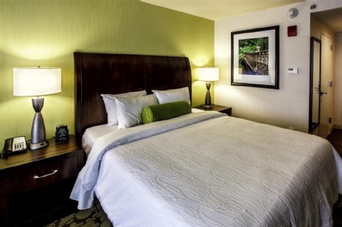 Hilton Garden Inn New York/Staten Island , NY 10314 near Newark Liberty International Airport View Point 41