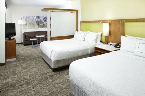 SpringHill Suites by Marriott Houston Intercontinental Airport , TX 77032 near George Bush Intercontinental Airport View Point 17