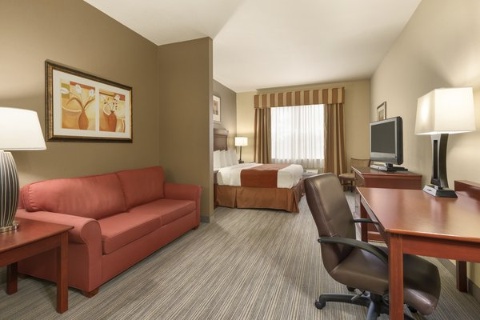 Comfort Suites At Fairgrounds-Casino , FL 33584 near Tampa Cruise Port View Point 10