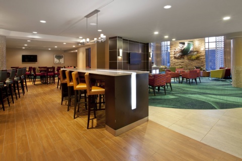 SpringHill Suites by Marriott Minneapolis-St. Paul Airport/Mall of America , MN 55425 near Minneapolis-saint Paul International Airport (wold-chamberlain Field) View Point 10