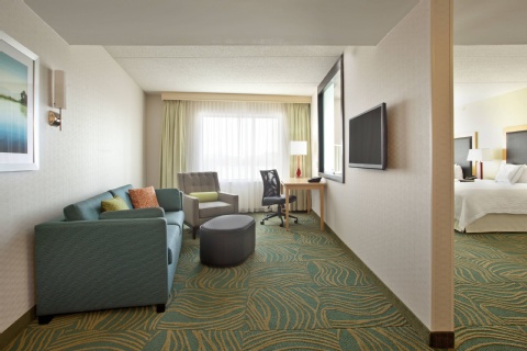 SpringHill Suites by Marriott Minneapolis-St. Paul Airport/Mall of America , MN 55425 near Minneapolis-saint Paul International Airport (wold-chamberlain Field) View Point 19