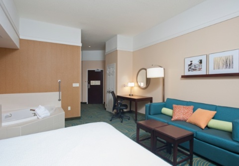 SpringHill Suites by Marriott Grand Rapids Airport Southeast , MI 49512 near Gerald R. Ford International Airport View Point 20