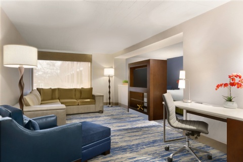 Delta Hotels by Marriott Detroit Metro Airport , MI 48174 near Detroit Metropolitan Wayne County Airport View Point 20