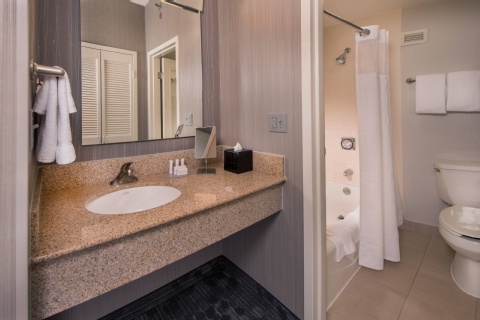 Courtyard by Marriott Dulles Airport Chantilly , VA 20151 near Washington Dulles International Airport View Point 29