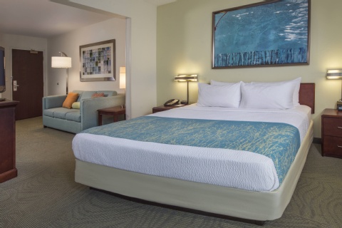 SpringHill Suites Raleigh-Durham Airport/Research Triangle Park , NC 27703 near Raleigh-durham International Airport View Point 16