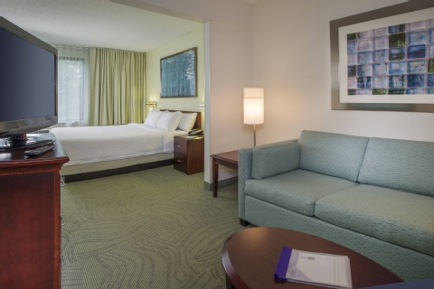 SpringHill Suites Raleigh-Durham Airport/Research Triangle Park , NC 27703 near Raleigh-durham International Airport View Point 18