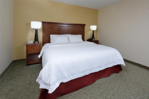 Hampton Inn Raleigh/Durham Airport , NC 27560 near Raleigh-durham International Airport View Point 4