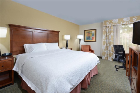 Hampton Inn Raleigh/Durham Airport , NC 27560 near Raleigh-durham International Airport View Point 14