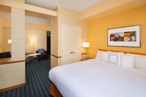 Fairfield Inn & Suites by Marriott San Antonio Airport/North Star Mall , TX 78216 near San Antonio International Airport View Point 16