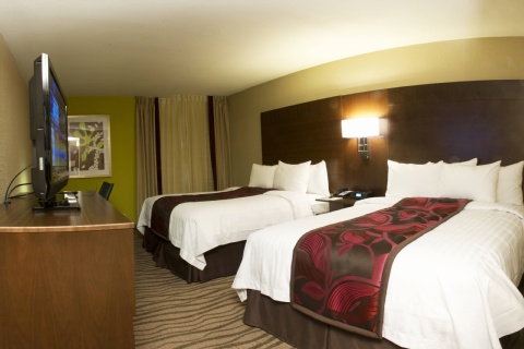 Fairfield Inn & Suites by Marriott Dallas DFW Airport South/Irving , TX 75062 near Dallas-fort Worth International Airport View Point 12