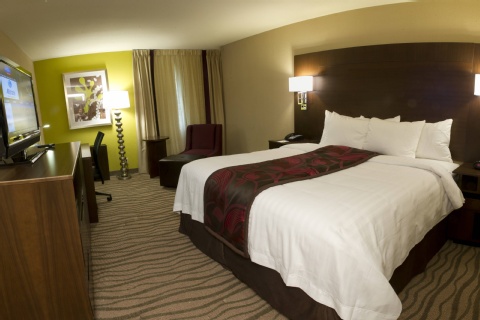 Fairfield Inn & Suites by Marriott Dallas DFW Airport South/Irving , TX 75062 near Dallas-fort Worth International Airport View Point 13