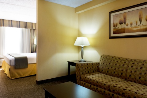 Holiday Inn Express & Suites Dallas Ft. Worth Airport South , TX 75062 near Dallas-fort Worth International Airport View Point 24