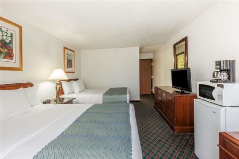 Super 8 by Wyndham Irving DFW Airport/South , TX 75062-5916 near Dallas-fort Worth International Airport View Point 11