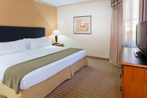 Holiday Inn Express Hotel & Suites Irving DFW Airport North, an IHG Hotel , TX 75063 near Dallas-fort Worth International Airport View Point 39