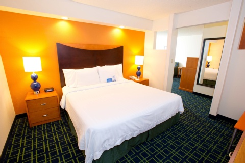 Fairfield by Marriott Inn & Suites Dallas DFW Airport North, Irving , TX 75063 near Dallas-fort Worth International Airport View Point 12