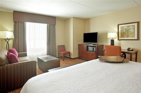 Hampton Inn Suites Minneapolis St Paul Arpt-Mall of America , MN 55425 near Minneapolis-saint Paul International Airport (wold-chamberlain Field) View Point 11